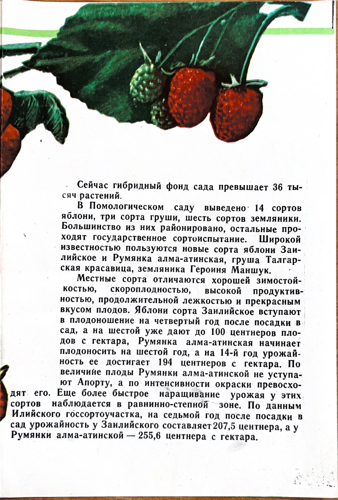 1969 archive page
